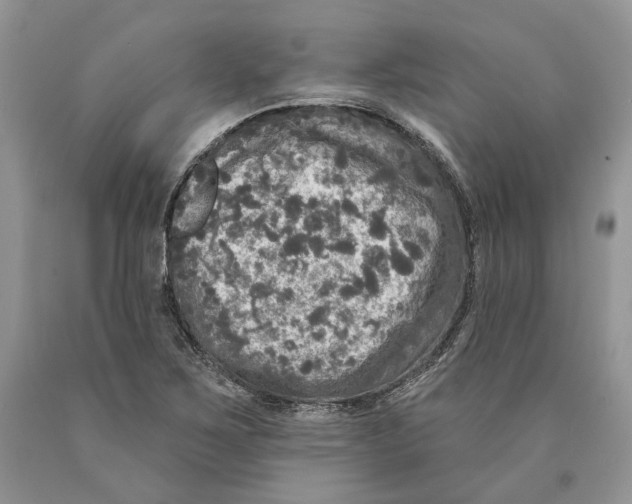 X0000089961267200707271854