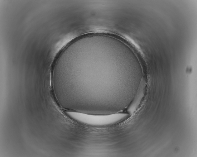 X0000089961269200707271854