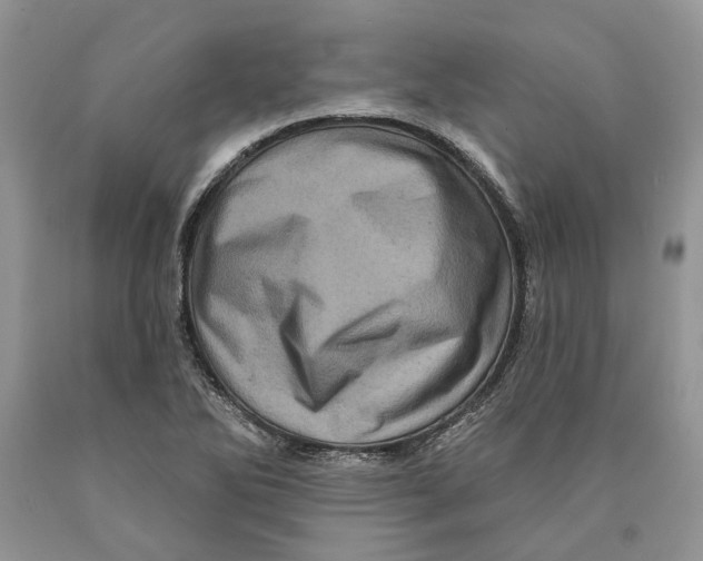 X0000089961270200707271854