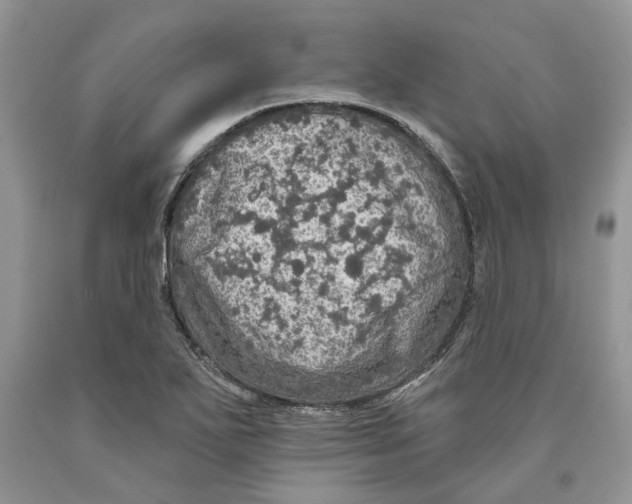 X0000089961271200707271854