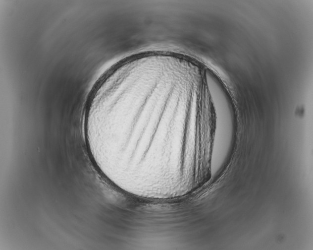 X0000089961272200707271853