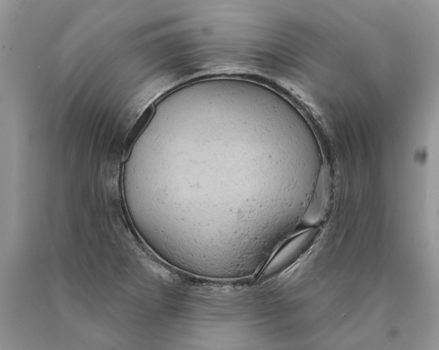 X0000089961273200707271853