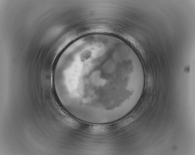 X0000089961274200707271853