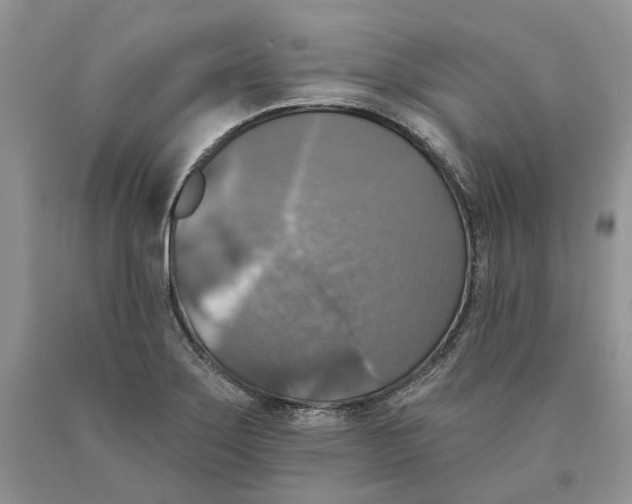 X0000089961275200707271853