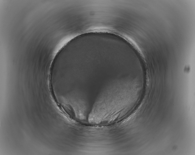 X0000089961277200707271853