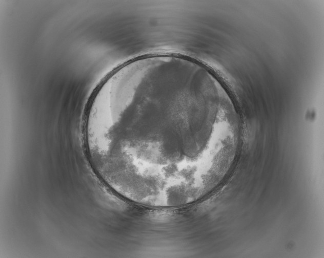 X0000089961278200707271853