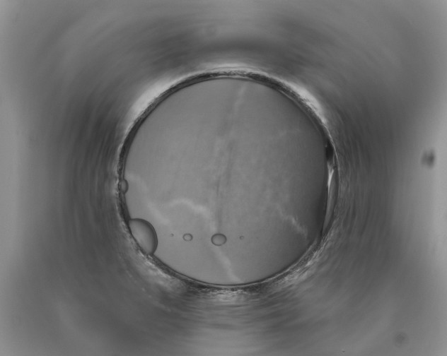 X0000089961279200707271853