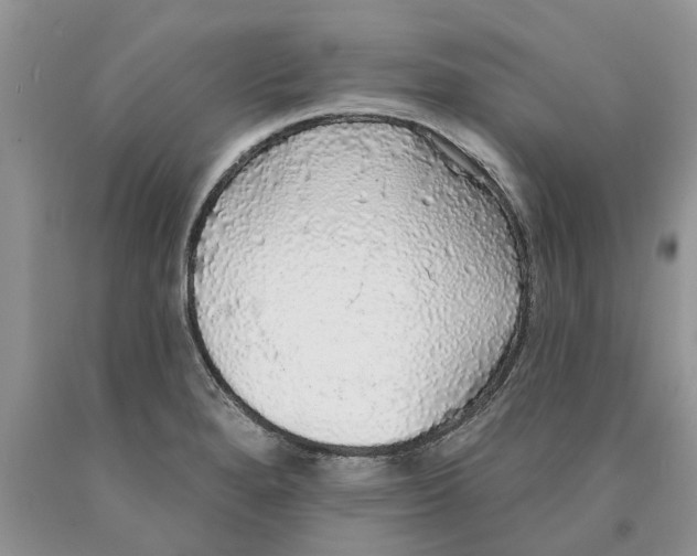 X0000089961280200707271853