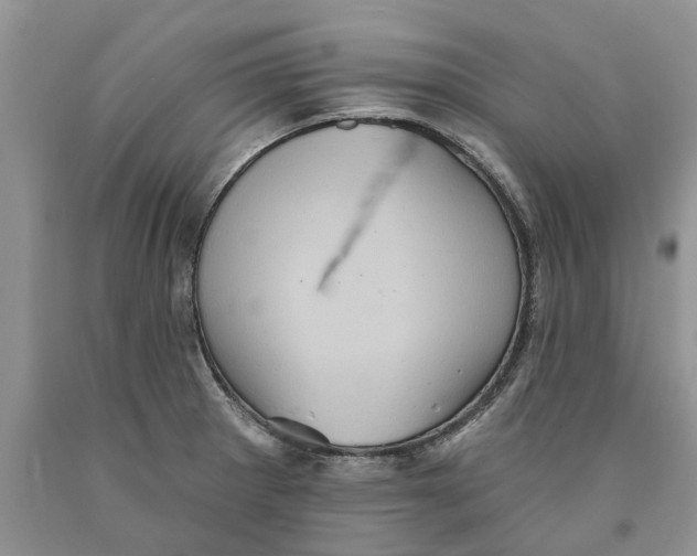 X0000089961281200707271853