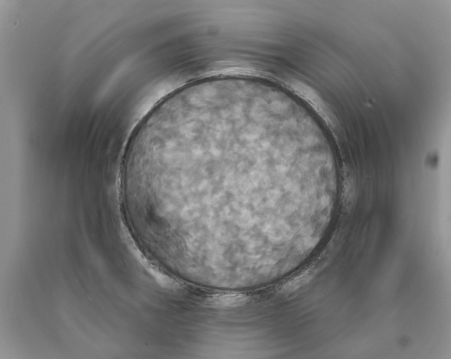 X0000089961282200707271853