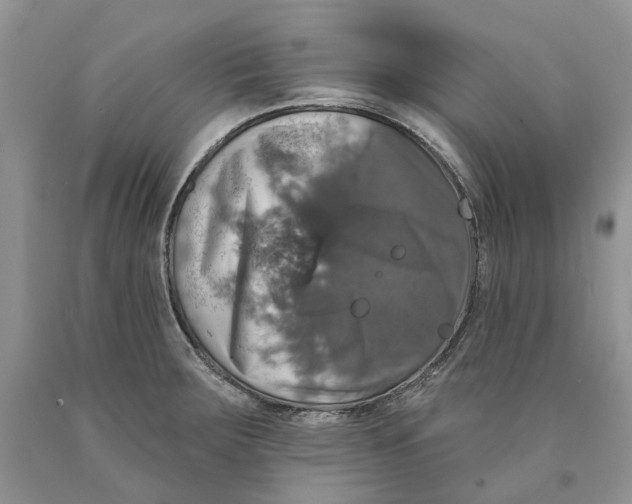 X0000089961283200707271853