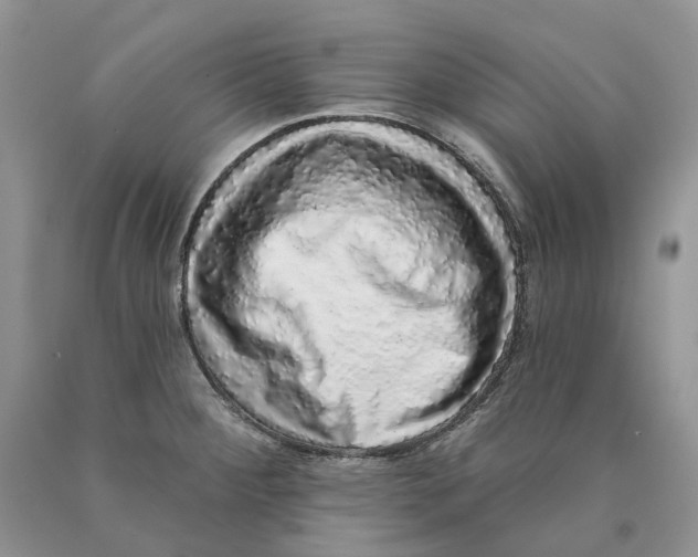 X0000089961284200707271853