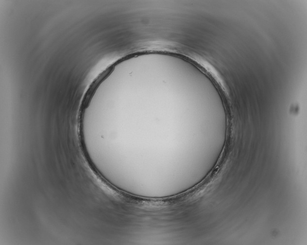 X0000089961285200707271853