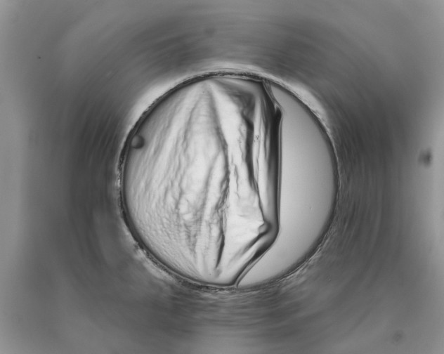 X0000089961287200707271853