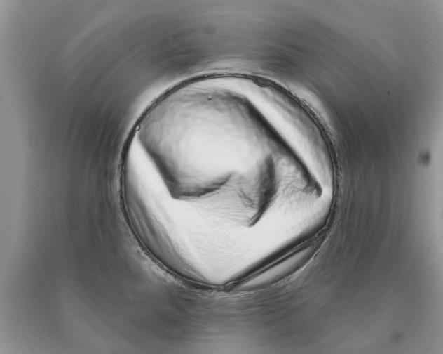 X0000089961288200707271853