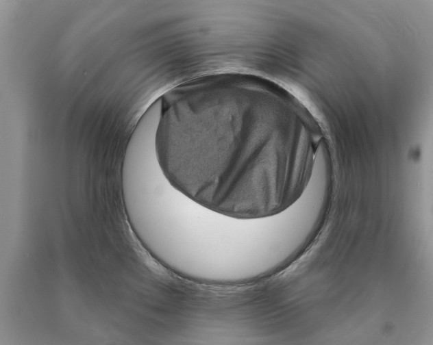 X0000089961289200707271853