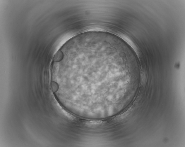 X0000089961290200707271853