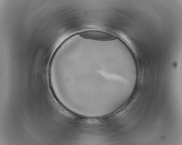 X0000089961291200707271853