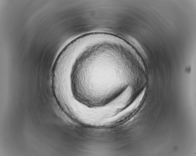 X0000089961292200707271853