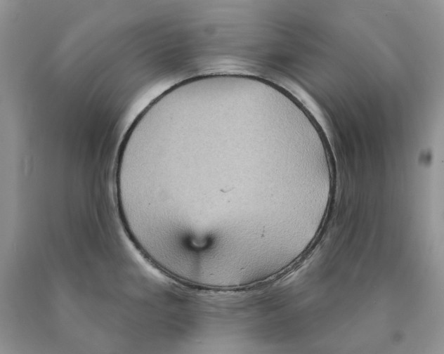 X0000089961293200707271853