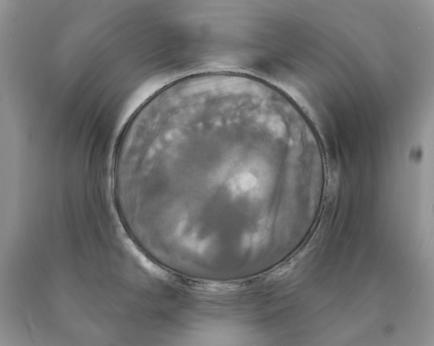 X0000089961294200707271853