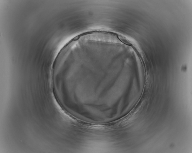 X0000089961295200707271853