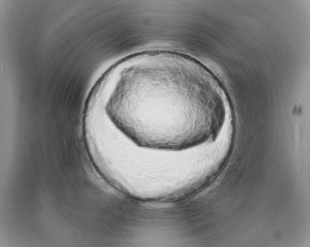 X0000089961296200707271853