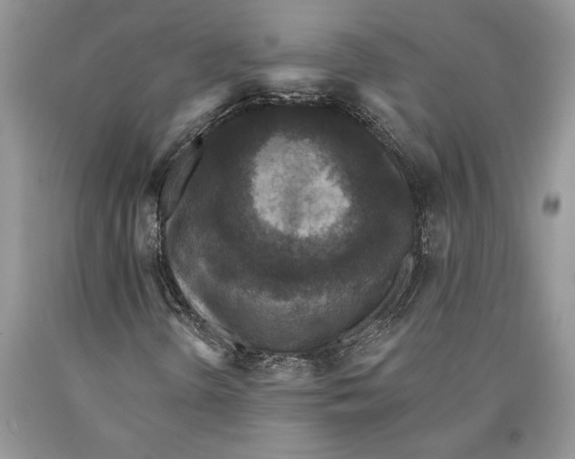 X0000089961298200707271853