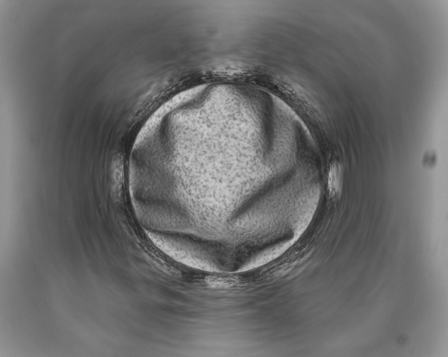 X0000089961299200707271853