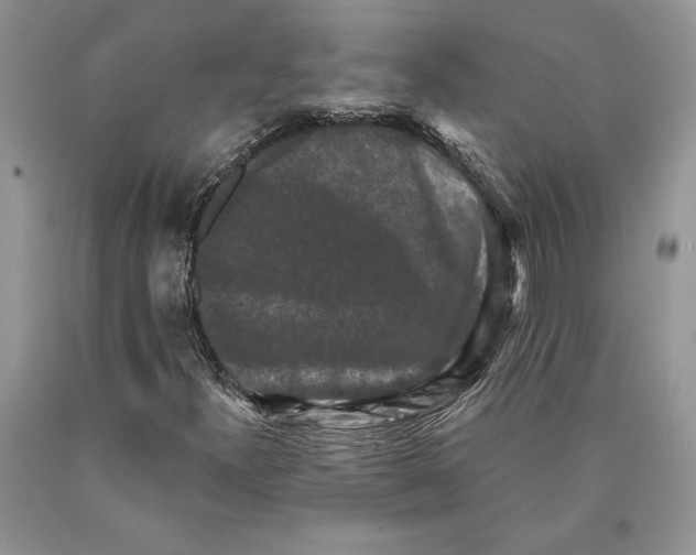 X0000089961300200707271853