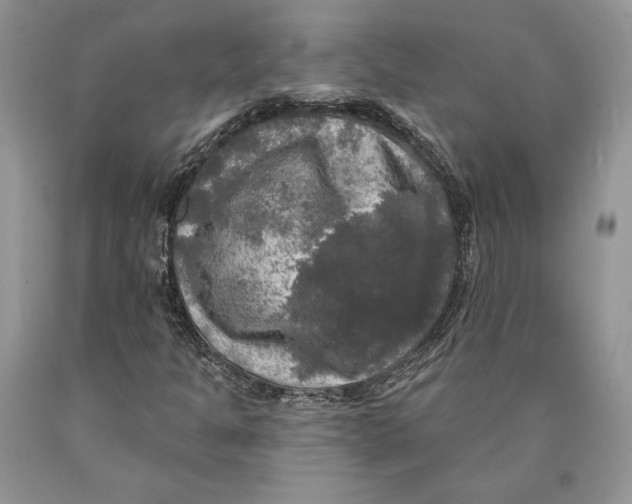 X0000089961301200707271853