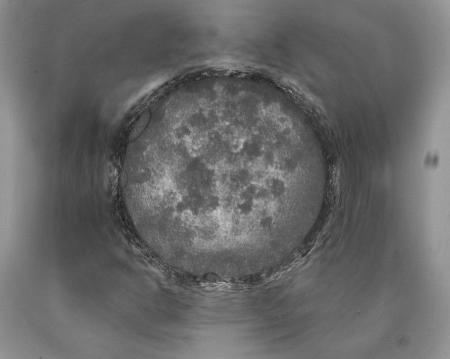 X0000089961302200707271853