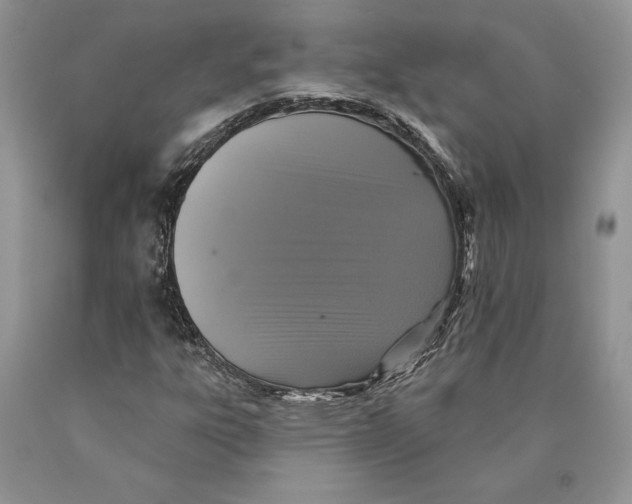 X0000089961303200707271853