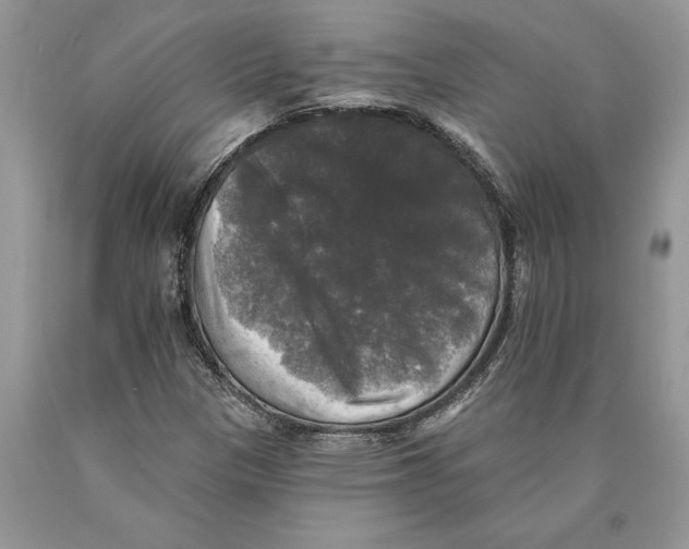 X0000089961305200707271853