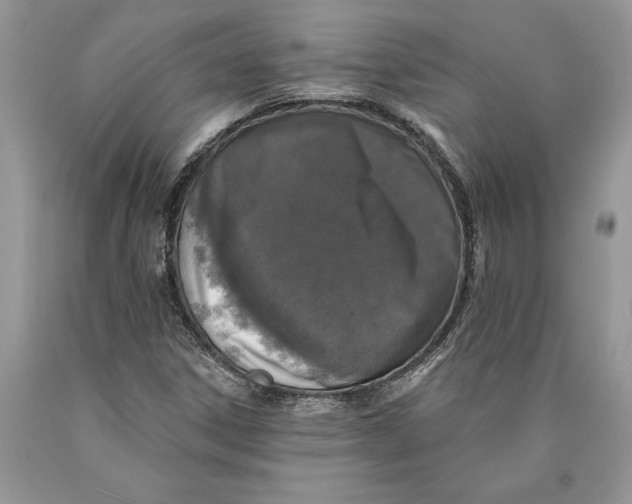 X0000089961306200707271853