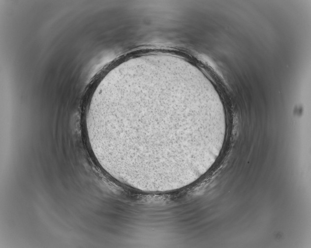 X0000089961307200707271853