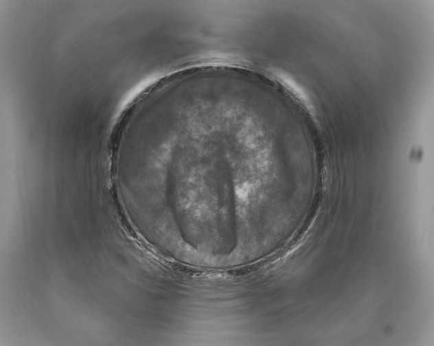 X0000089961310200707271853