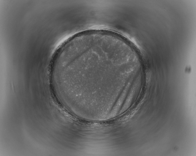 X0000089961311200707271853