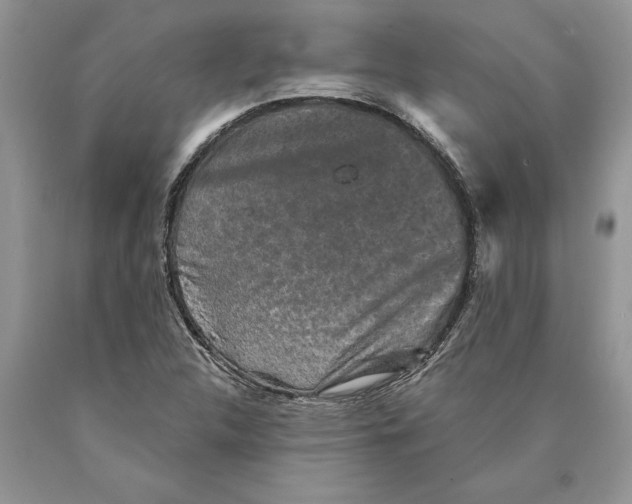 X0000089961312200707271853