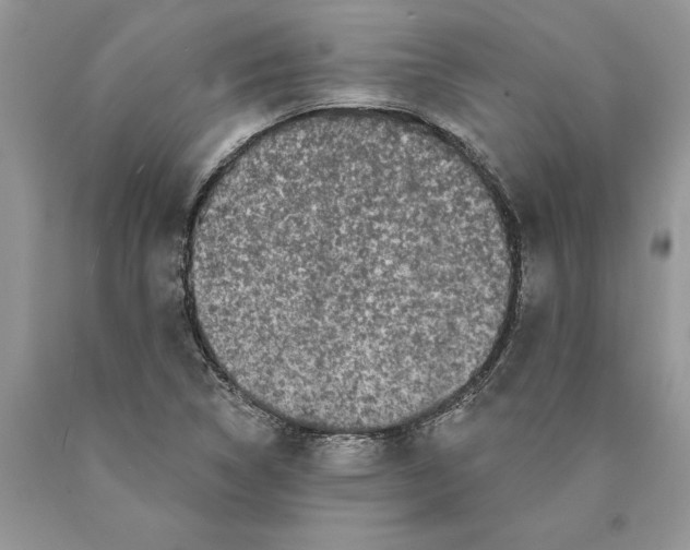 X0000089961314200707271853