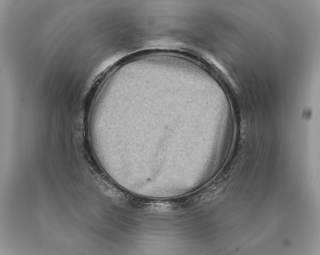 X0000089961315200707271853