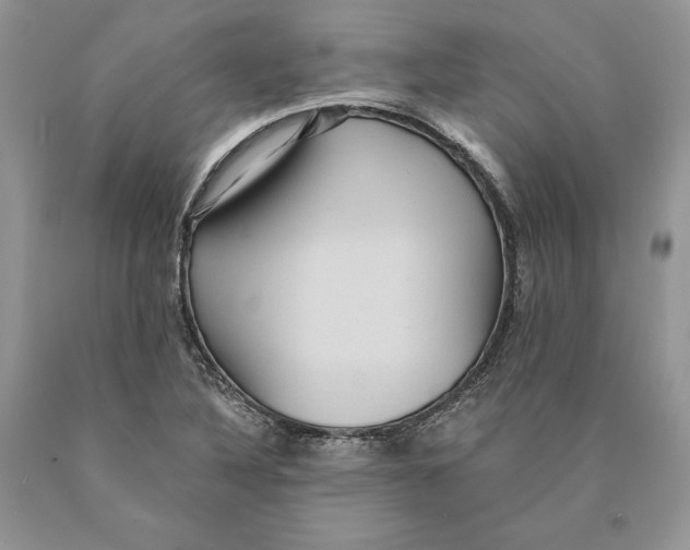 X0000089961316200707271853