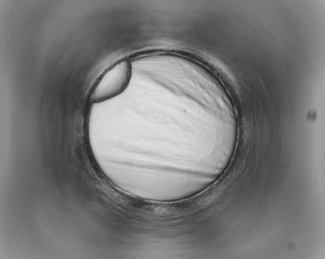 X0000089961318200707271853