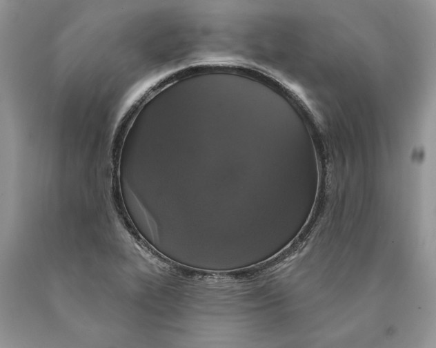 X0000089961319200707271853