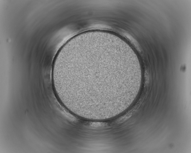 X0000089961322200707271853