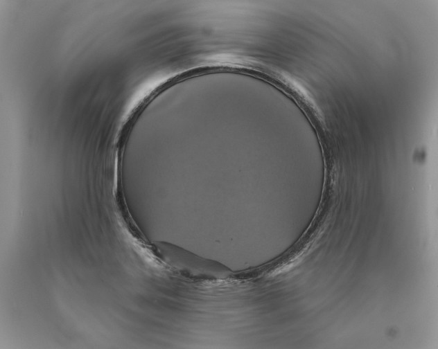 X0000089961323200707271853