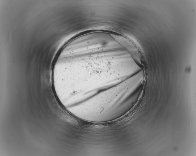 X0000089961324200707271853