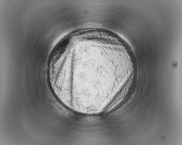 X0000089961325200707271853