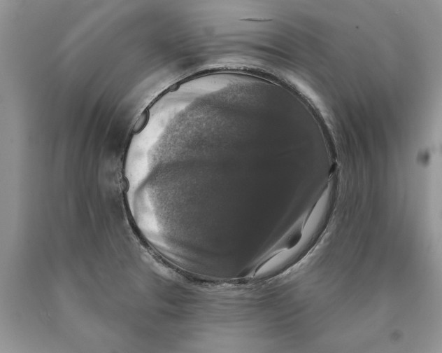 X0000089961329200707271853