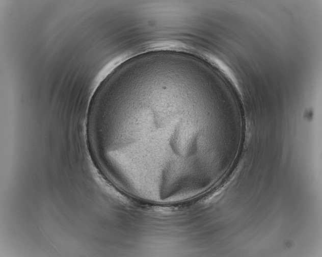 X0000089961330200707271853